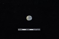 板岩片藏品圖，第1張